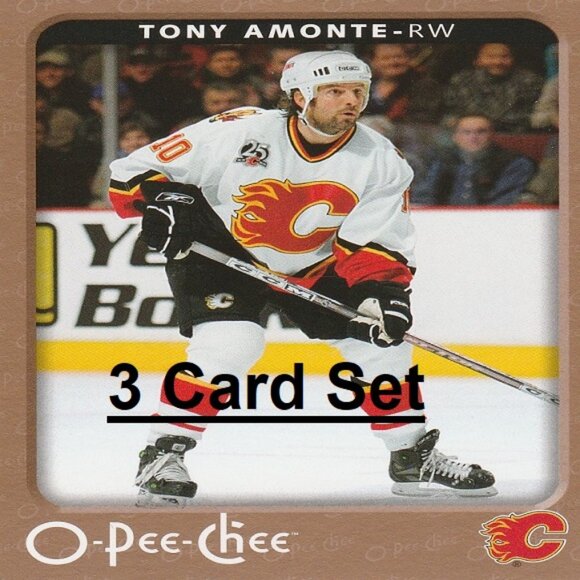Tony Amonte Hockey Card Collection - Picture 1 of 4